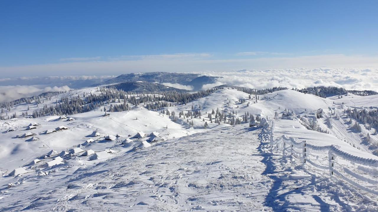 Chalet Gorenjka - Velika Planina オスレンドネスロヴェンスカ エクステリア 写真