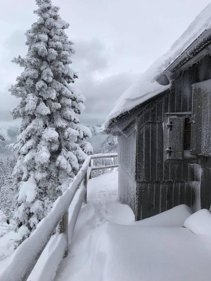 Chalet Gorenjka - Velika Planina オスレンドネスロヴェンスカ エクステリア 写真
