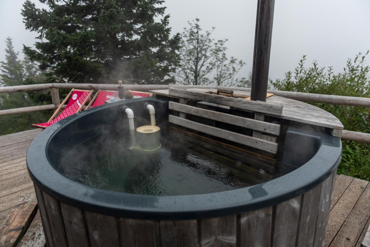 Chalet Gorenjka - Velika Planina オスレンドネスロヴェンスカ エクステリア 写真