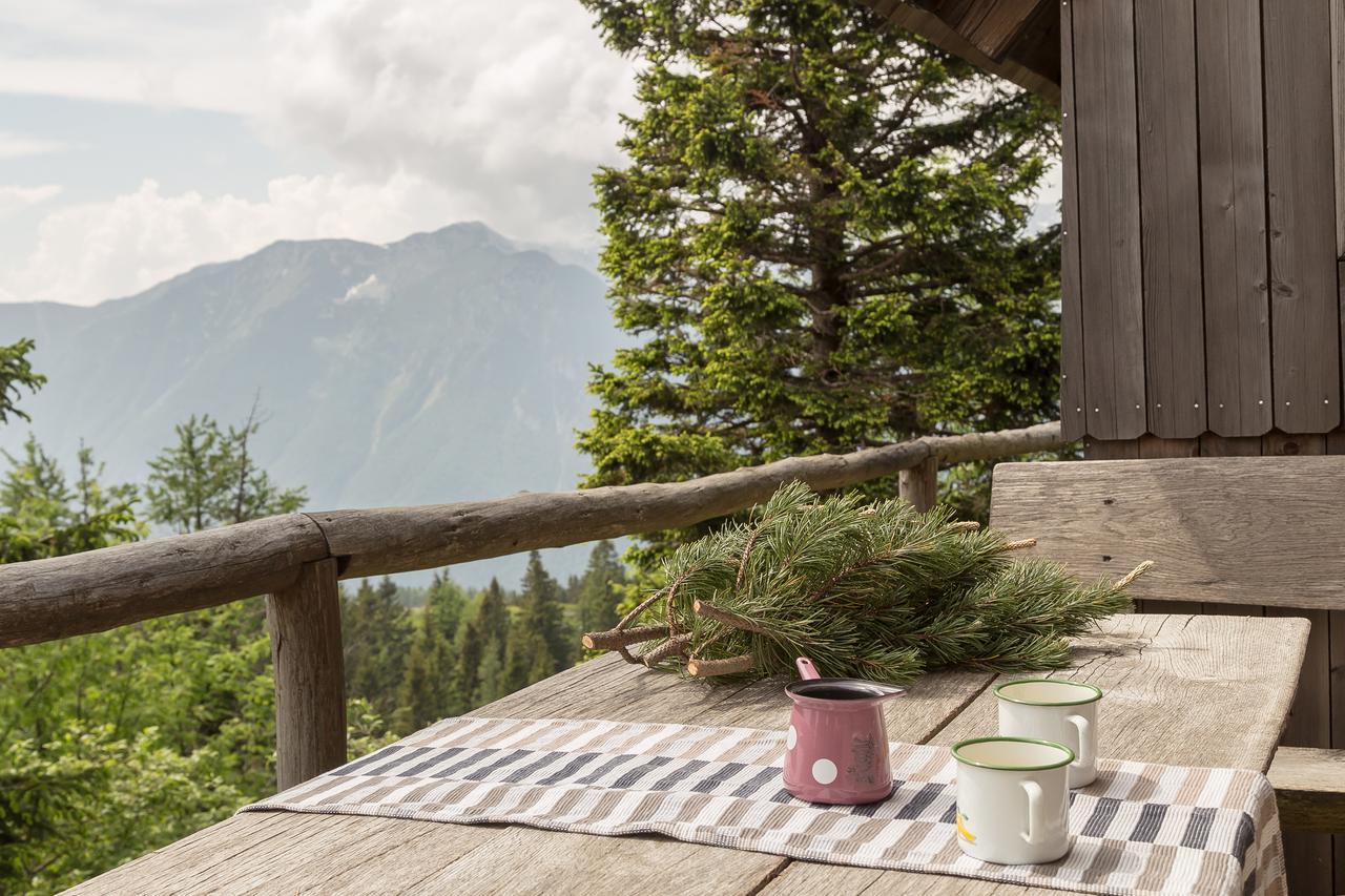 Chalet Gorenjka - Velika Planina オスレンドネスロヴェンスカ エクステリア 写真